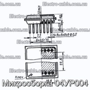 Мікрозбірка 04УР004 - фотографія №1.
