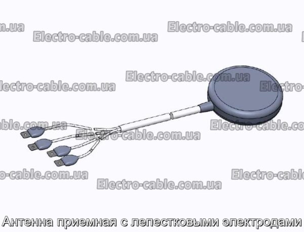 Антенна приемная с лепестковыми электродами - фотография № 1.