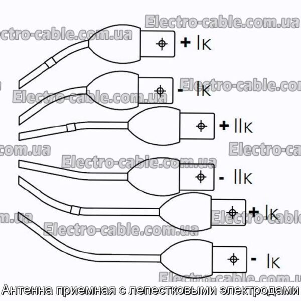 Антенна приемная с лепестковыми электродами - фотография № 3.