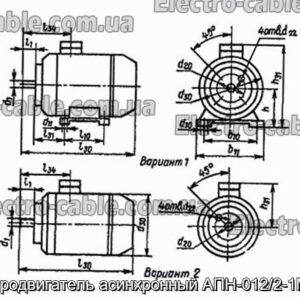 Электродвигатель асинхронный АПН-012/2-1М2101 - фотография № 1.