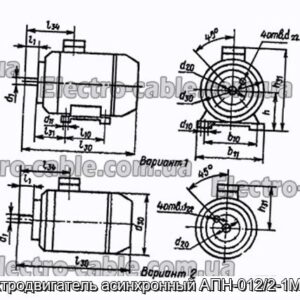 Электродвигатель асинхронный АПН-012/2-1М3601 - фотография № 1.