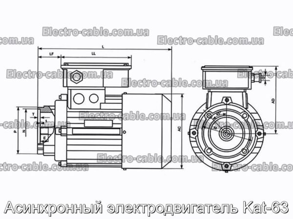 Асинхронный электродвигатель Kat-63 - фотография № 2.