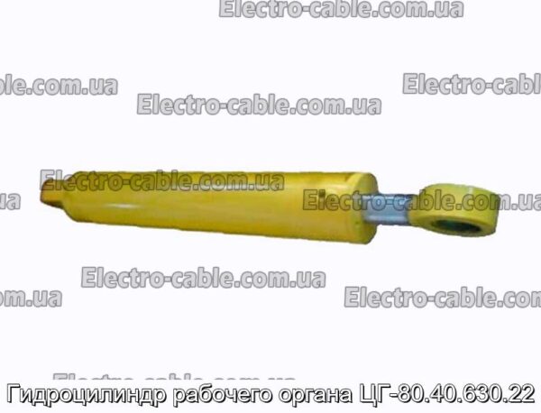 Гидроцилиндр рабочего органа ЦГ-80.40.630.22 - фотография № 1.
