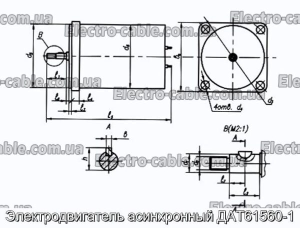 Асинхронний електричний двигун DED61560-1 - Фотографія № 1.