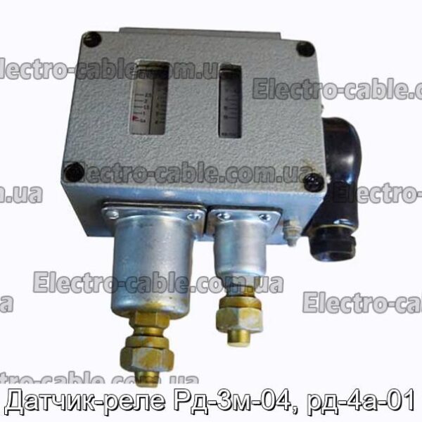 Датчик-реле Рд-3м-04, рд-4а-01 - фотография № 1.