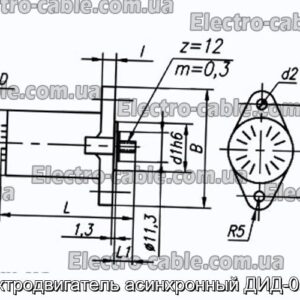 Асінхронний електродвигун DIDD -0.1TV - Фотографія № 1.