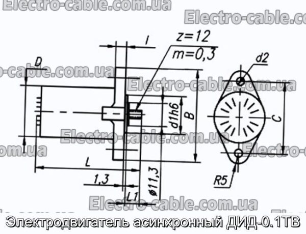 Асінхронний електродвигун DIDD -0.1TV - Фотографія № 1.