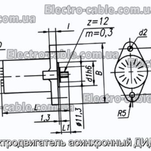 Електродвигун асинхронний ДІД-0.5 - фотографія №1.