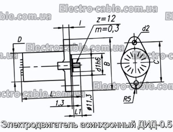 Електродвигун асинхронний ДІД-0.5 - фотографія №1.