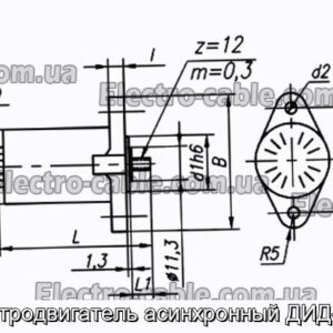 Электродвигатель асинхронный ДИД-0.5Р - фотография № 1.