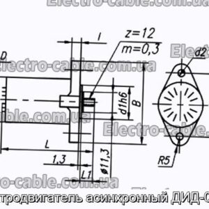 Электродвигатель асинхронный ДИД-0.5ТА - фотография № 1.