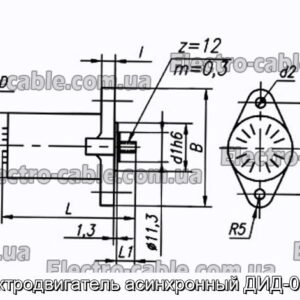 Асинхронний електродвигун DIDD -0.6TV - Фотографія № 1.