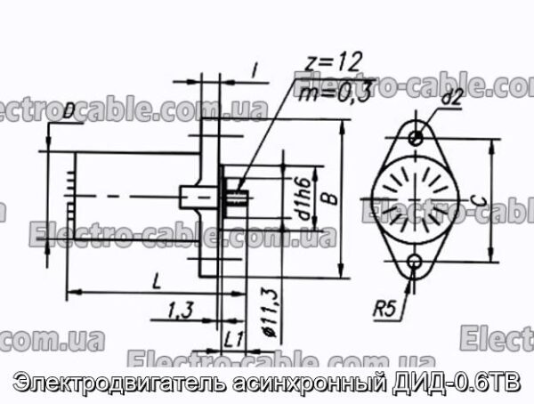 Асинхронний електродвигун DIDD -0.6TV - Фотографія № 1.