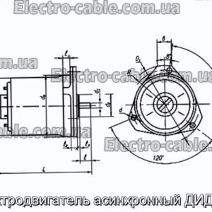 Електродвигун асинхронний ДІД-1ТВ - фотографія №1.