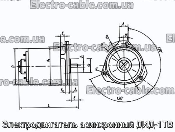 Електродвигун асинхронний ДІД-1ТВ - фотографія №1.