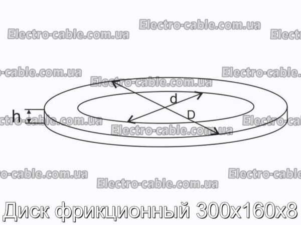 Диск фрикционный 300х160х8 - фотография № 1.