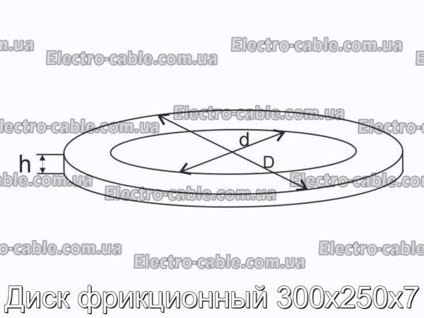 Диск фрикционный 300х250х7 - фотография № 1.