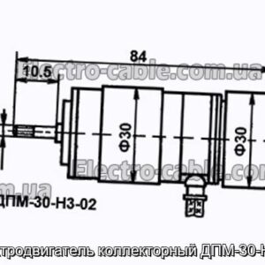 Електродвигун колекторний ДПМ-30-Н3-02 - фотографія №1.