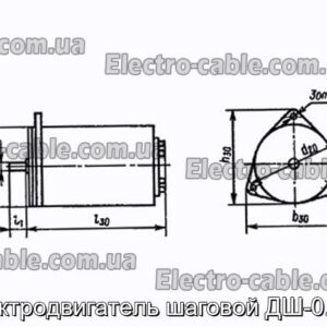 Електродвигун кроковий ДШ-0.04А - фотографія №1.