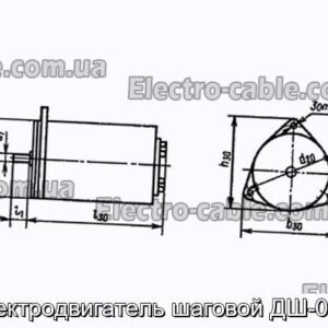 Електродвигун кроковий ДШ-0.1А - фотографія №1.