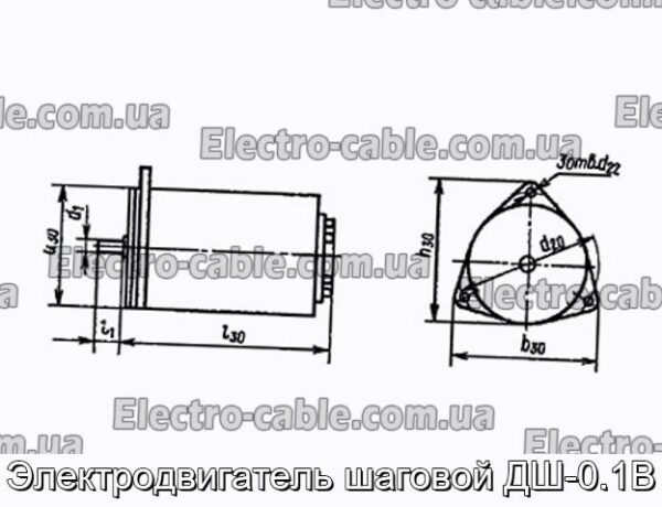 Електродвигун кроковий ДШ-0.1В - фотографія №1.