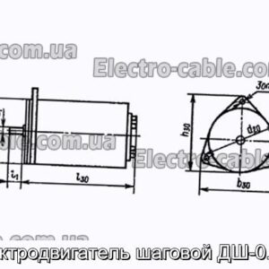 Електродвигун кроковий ДШ-0.25А - фотографія №1.