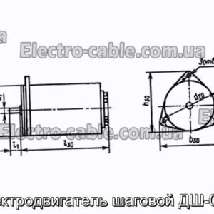 Електродвигун кроковий ДШ-0.4А - фотографія №1.