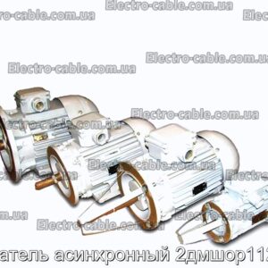 Двигатель асинхронный 2дмшор112ма2 - фотография № 1.