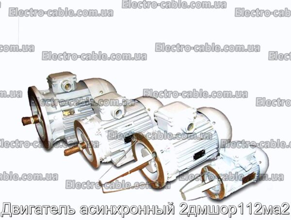 Двигатель асинхронный 2дмшор112ма2 - фотография № 1.