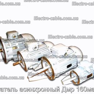 Двигатель асинхронный Дмр 160ма4-02 - фотография № 1.