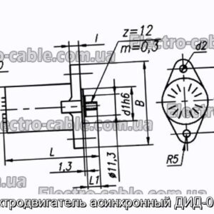 Электродвигатель асинхронный ДИД-0.1ТВ - фотография № 1.