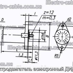 Электродвигатель асинхронный ДИД-0.5 - фотография № 1.