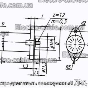 Электродвигатель асинхронный ДИД-0.5Р - фотография № 1.