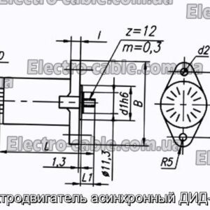 Электродвигатель асинхронный ДИД-0.5С - фотография № 1.