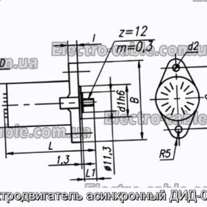 Электродвигатель асинхронный ДИД-0.6ТВ - фотография № 1.