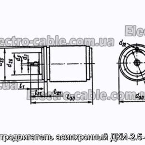 Электродвигатель асинхронный ДКИ-2.5-12ТВ - фотография № 1.