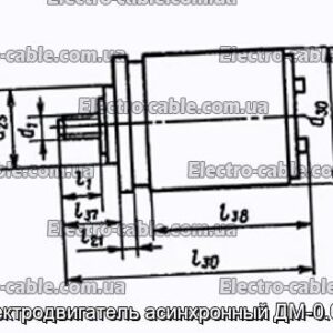 Электродвигатель асинхронный ДМ-0.04А - фотография № 1.