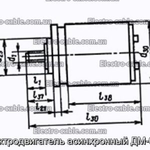 Электродвигатель асинхронный ДМ-0.1А - фотография № 1.