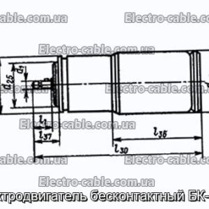 Электродвигатель бесконтактный БК-1418 - фотография № 1.