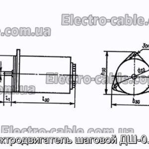 Электродвигатель шаговой ДШ-0.25А - фотография № 1.