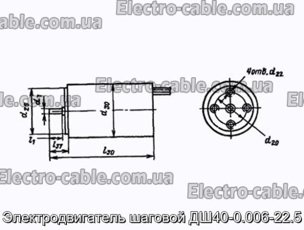 Электродвигатель шаговой ДШ40-0.006-22.5 - фотография № 1.