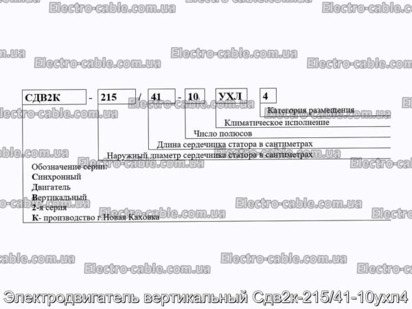 Електродвигун вертикальний Сдв2к-215/41-10ухл4 - фотографія №2.