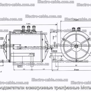 Электродвигатели асинхронные трехфазные Мстм-0,3 у2 - фотография № 1.