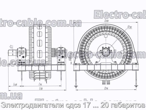 Электродвигатели сдсз 17 ... 20 габаритов - фотография № 4.