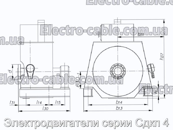 Электродвигатели серии Сдкп 4 - фотография № 3.