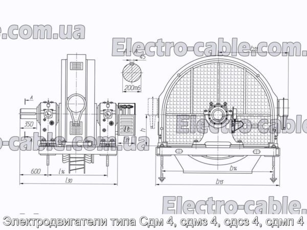 Электродвигатели типа Сдм 4, сдмз 4, сдсз 4, сдмп 4 - фотография № 5.