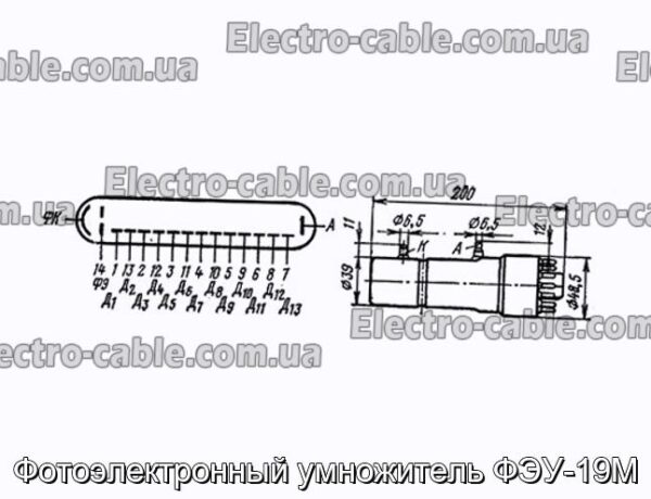 Фотоэлектронный умножитель ФЭУ-19М - фотография № 1.