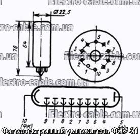 Фотоэлектронный умножитель ФЭУ-31 - фотография № 1.