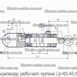 Гидроцилиндр рабочего органа Цг-80.40.630.22 - фотография № 2.