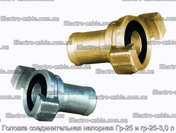 Головка соединительная напорная Гр-25 и гр-25-3,0 л - фотография № 1.